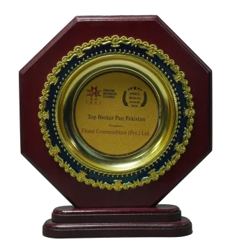 Award (11)